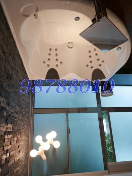 Grand Duchess At St Patrick's (D15), Condominium #124665952